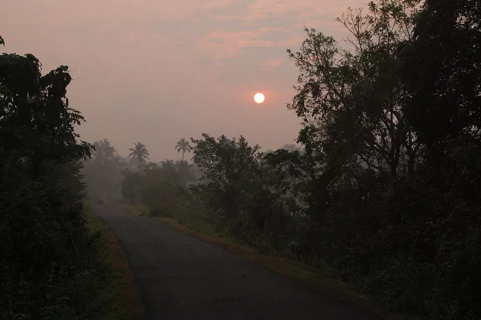 Photo of Bondla Wildlife Sanctuary, Usgao-Ganjem VP, Goa, India by Himani Khatreja