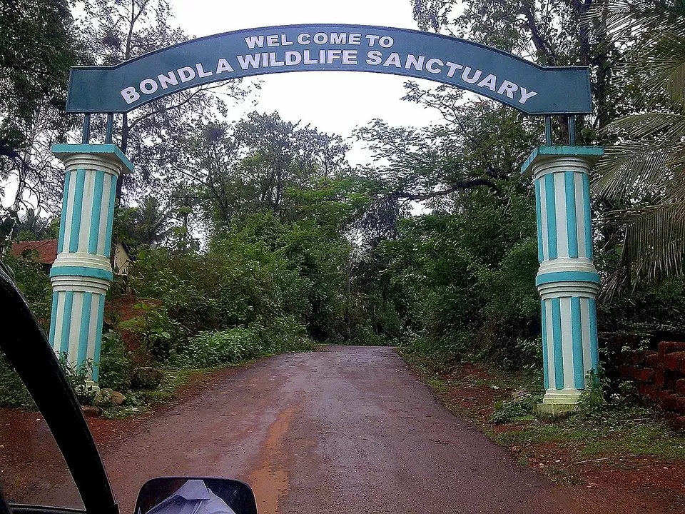 Photo of Bondla Wildlife Sanctuary, Usgao-Ganjem VP, Goa, India by Himani Khatreja
