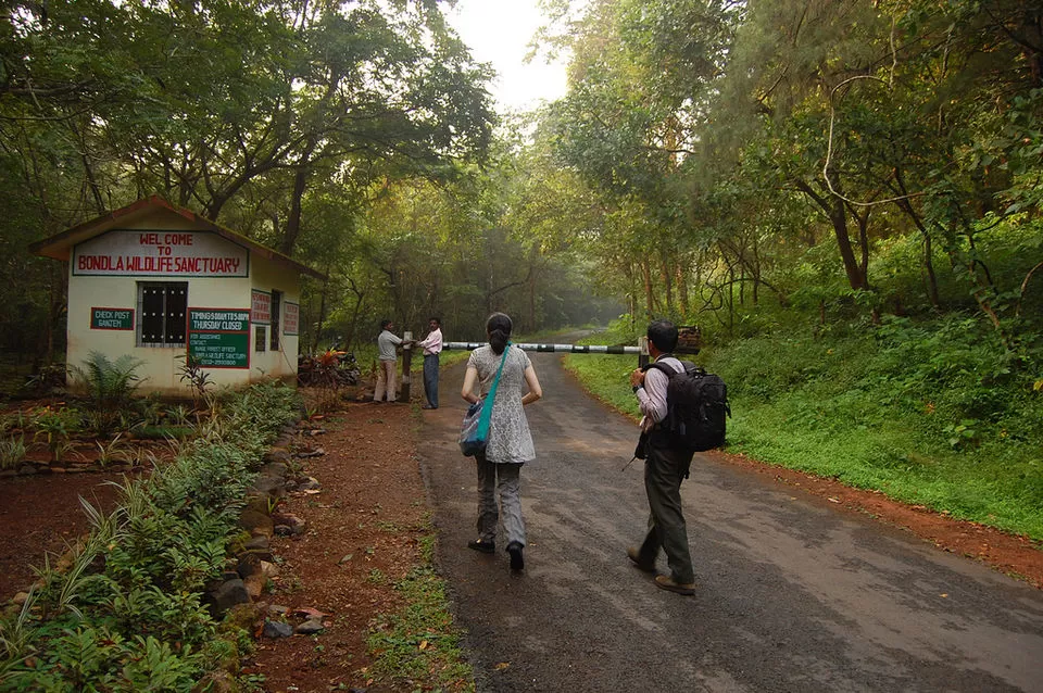Photo of Bondla Wildlife Sanctuary, Usgao-Ganjem VP, Goa, India by Himani Khatreja