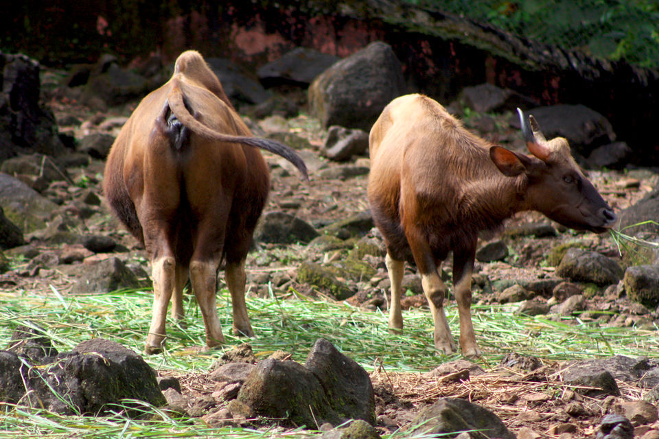 Photo of For Your Next Beach Getaway, Go Explore This Lesser Loved Side Of Goa by Himani Khatreja