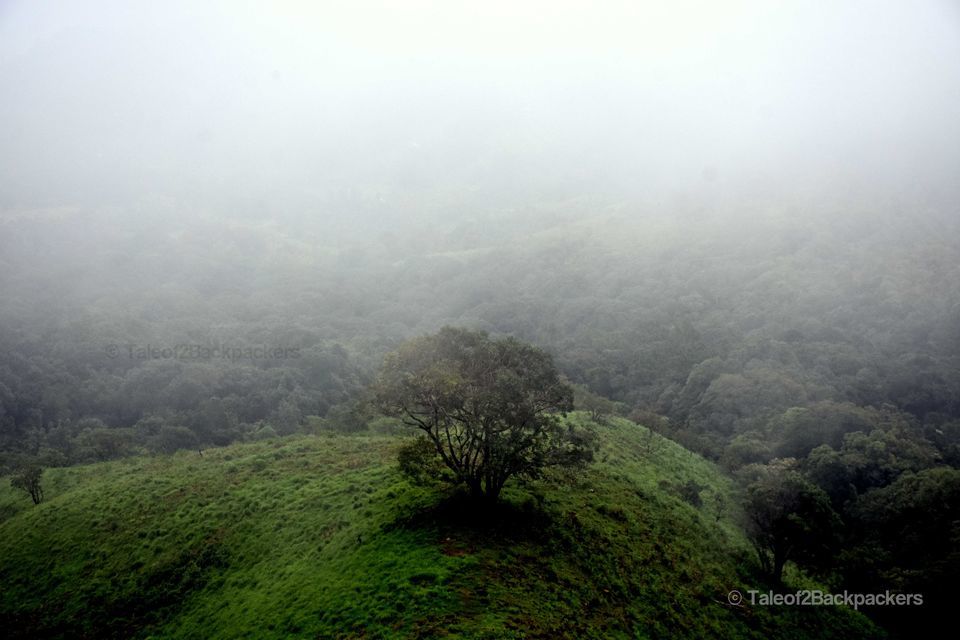Photo of Discover this weekend destination near Bangalore by Amrita