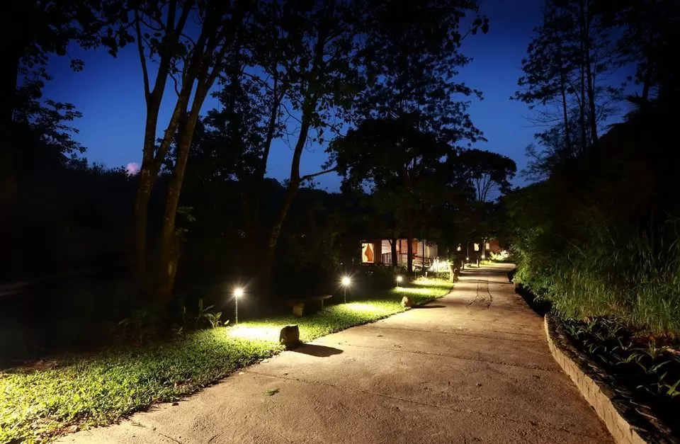 Photo of Surrender To Nature At Ibnii Coorg: The Gorgeous Eco-Resort Sitting In The Midst Of Forest by Himani Khatreja