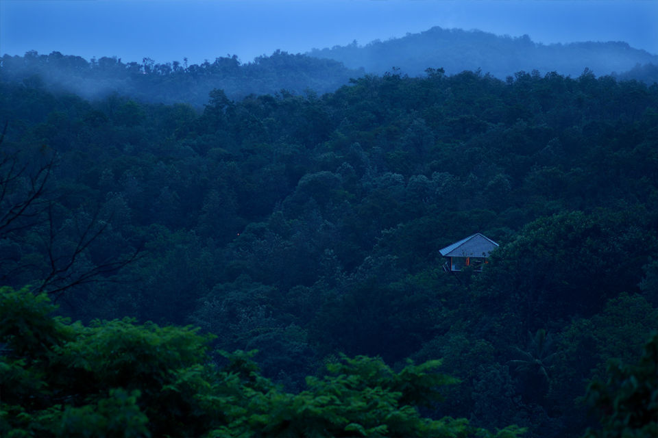 Photo of Surrender To Nature At Ibnii Coorg: The Gorgeous Eco-Resort Sitting In The Midst Of Forest by Himani Khatreja