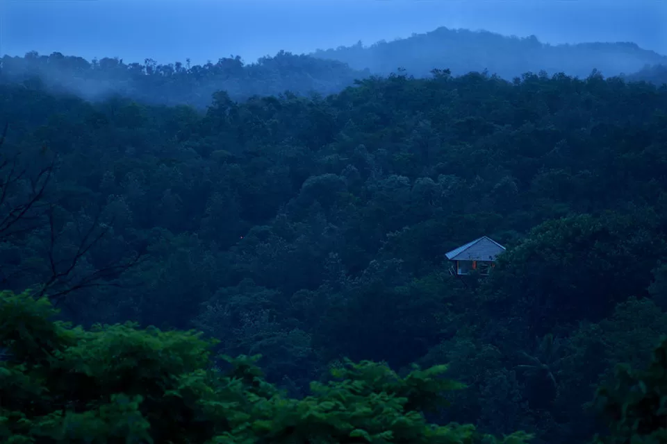 Photo of Surrender To Nature At Ibnii Coorg: The Gorgeous Eco-Resort Sitting In The Midst Of Forest by Himani Khatreja