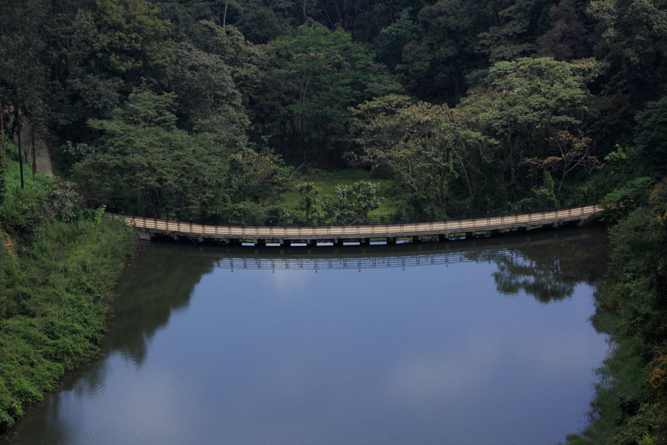 Photo of Surrender To Nature At Ibnii Coorg: The Gorgeous Eco-Resort Sitting In The Midst Of Forest by Himani Khatreja