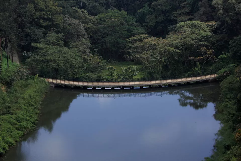 Photo of Surrender To Nature At Ibnii Coorg: The Gorgeous Eco-Resort Sitting In The Midst Of Forest by Himani Khatreja
