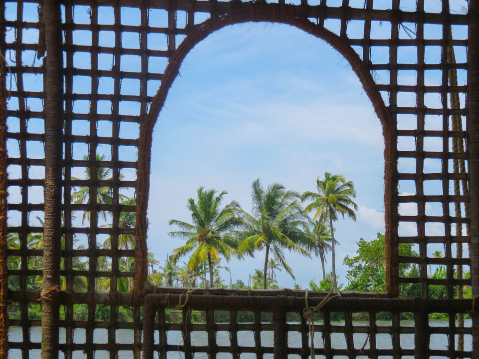 Photo of Floating on the serene backwaters of Kerala! by Deepa Subramanian
