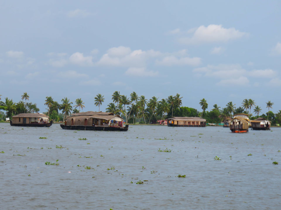 Photo of Floating on the serene backwaters of Kerala! by Deepa Subramanian