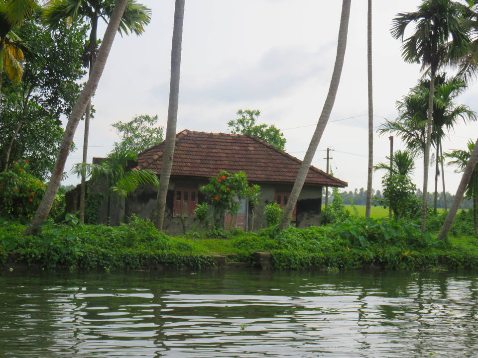 Photo of Floating on the serene backwaters of Kerala! by Deepa Subramanian