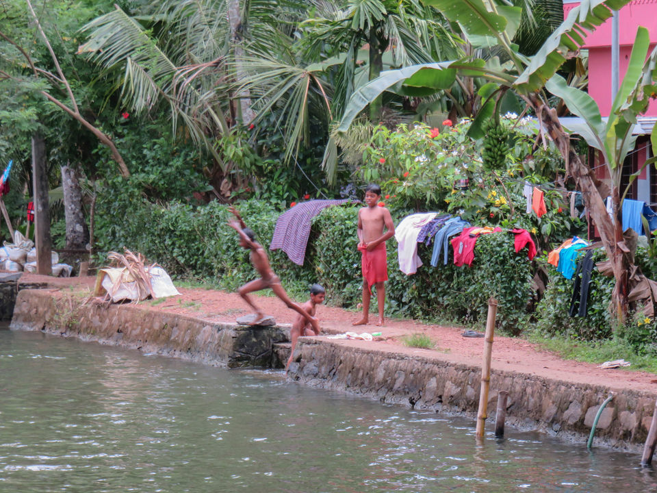 Photo of Floating on the serene backwaters of Kerala! by Deepa Subramanian