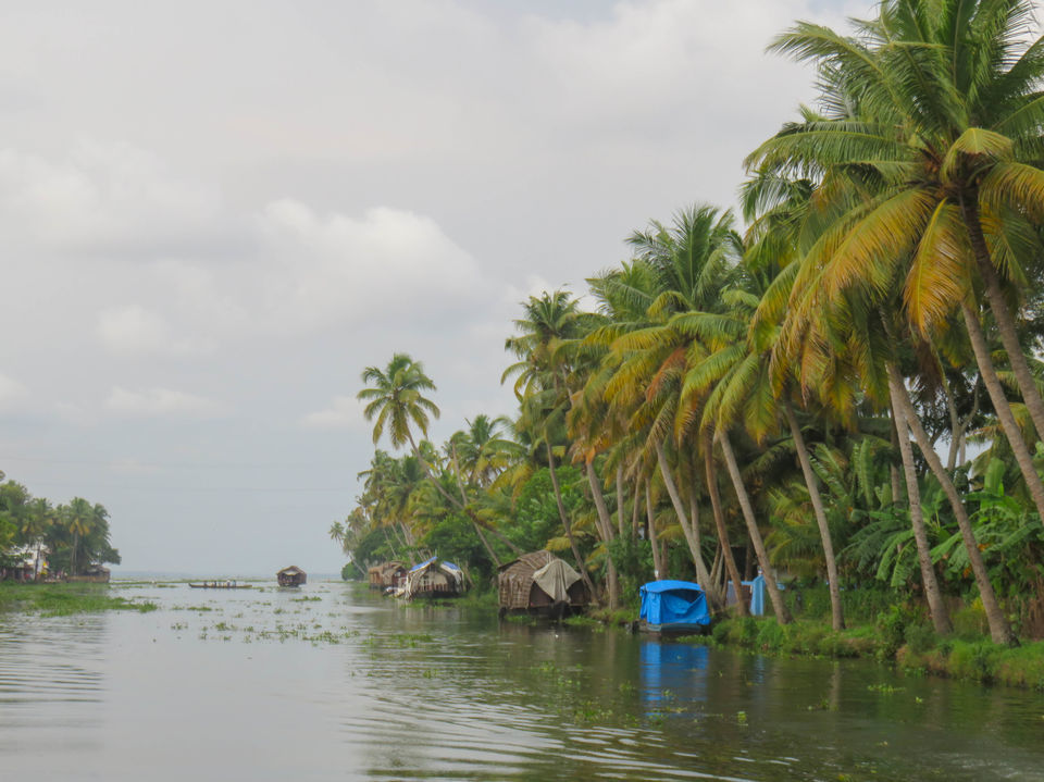 Photo of Floating on the serene backwaters of Kerala! by Deepa Subramanian