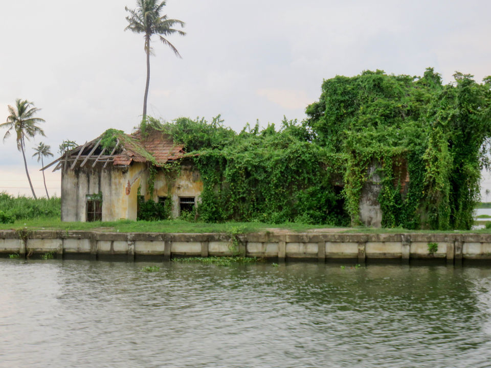 Photo of Floating on the serene backwaters of Kerala! by Deepa Subramanian