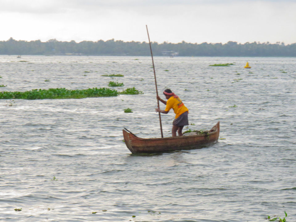 Photo of Floating on the serene backwaters of Kerala! by Deepa Subramanian