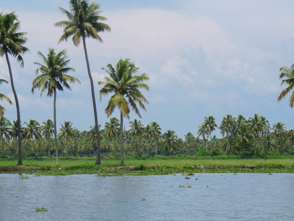 Photo of Floating on the serene backwaters of Kerala! by Deepa Subramanian