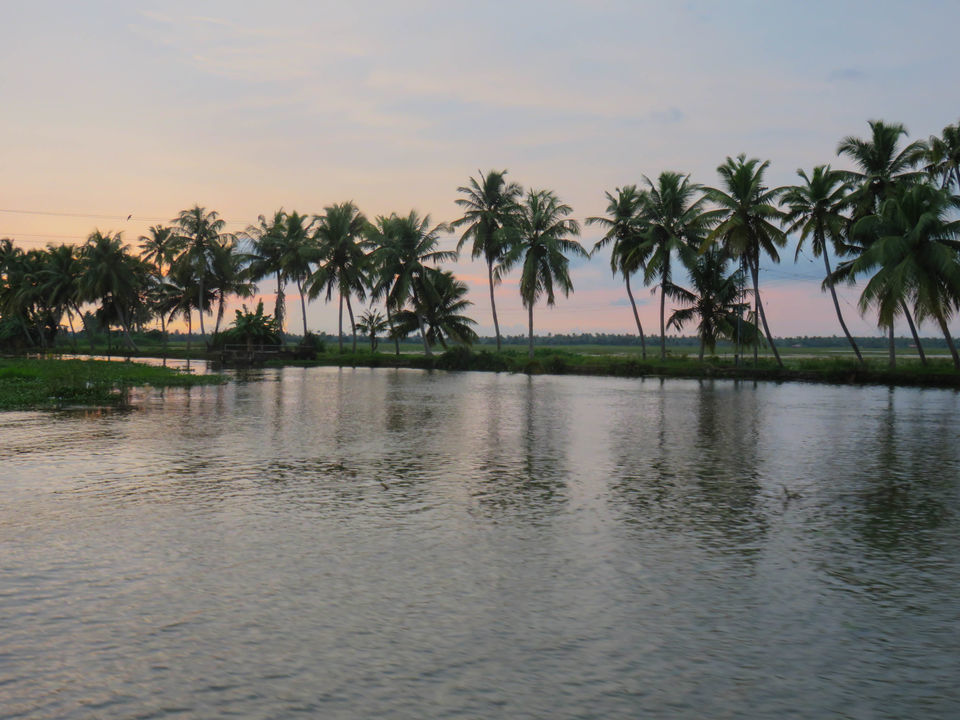 Photo of Floating on the serene backwaters of Kerala! by Deepa Subramanian