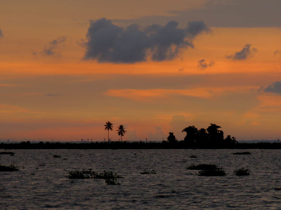 Photo of Floating on the serene backwaters of Kerala! by Deepa Subramanian