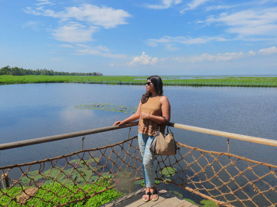 Photo of Floating on the serene backwaters of Kerala! by Deepa Subramanian