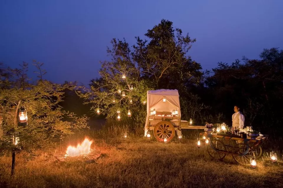 Photo of This Secret Luxury Wildlife Lodge Set In A Forest Is Ideal For Couples Seeking Comfort And Serenity by Pallavi Paul