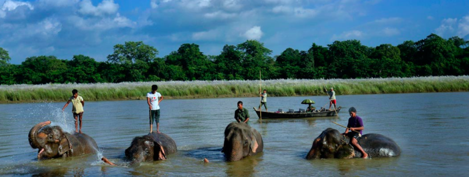 Photo of Here's Why Chitwan National Park Is The Best To See Wildlife In Asia by Himani Khatreja