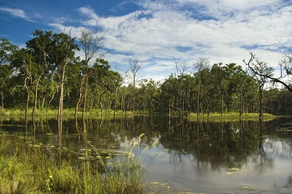 Photo of Here's Why Chitwan National Park Is The Best To See Wildlife In Asia by Himani Khatreja