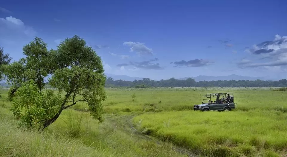 Photo of Here's Why Chitwan National Park Is The Best To See Wildlife In Asia by Himani Khatreja