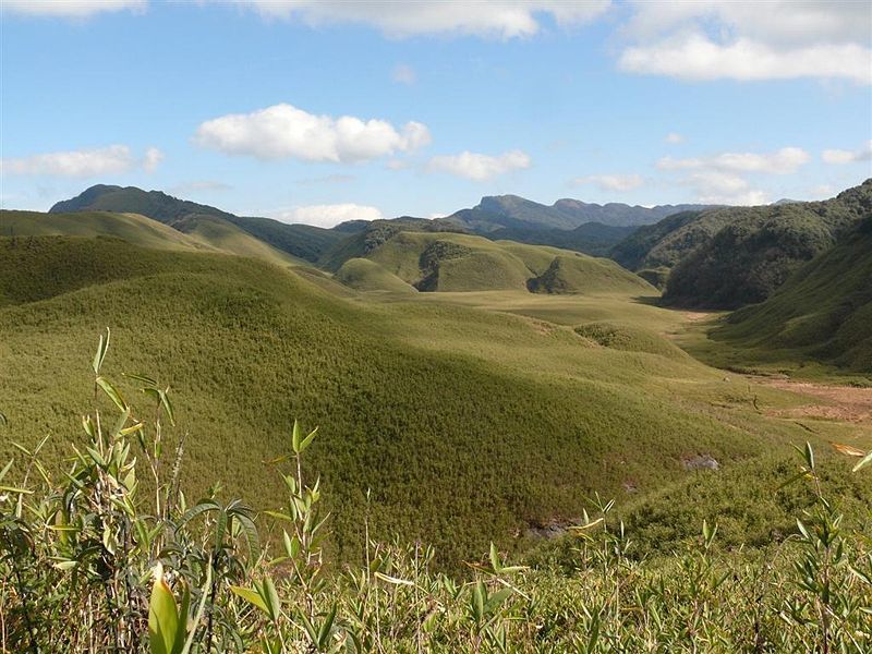 Photo of This Magical Trek Takes You Through Emerald Green Hills And A Million Year Old Valley by Amrita (Tale of 2 Backpackers)