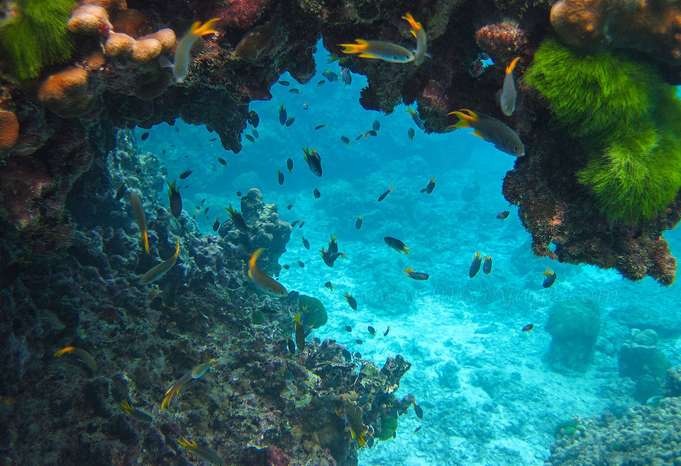Photo of Lalaji Bay by Himani Khatreja