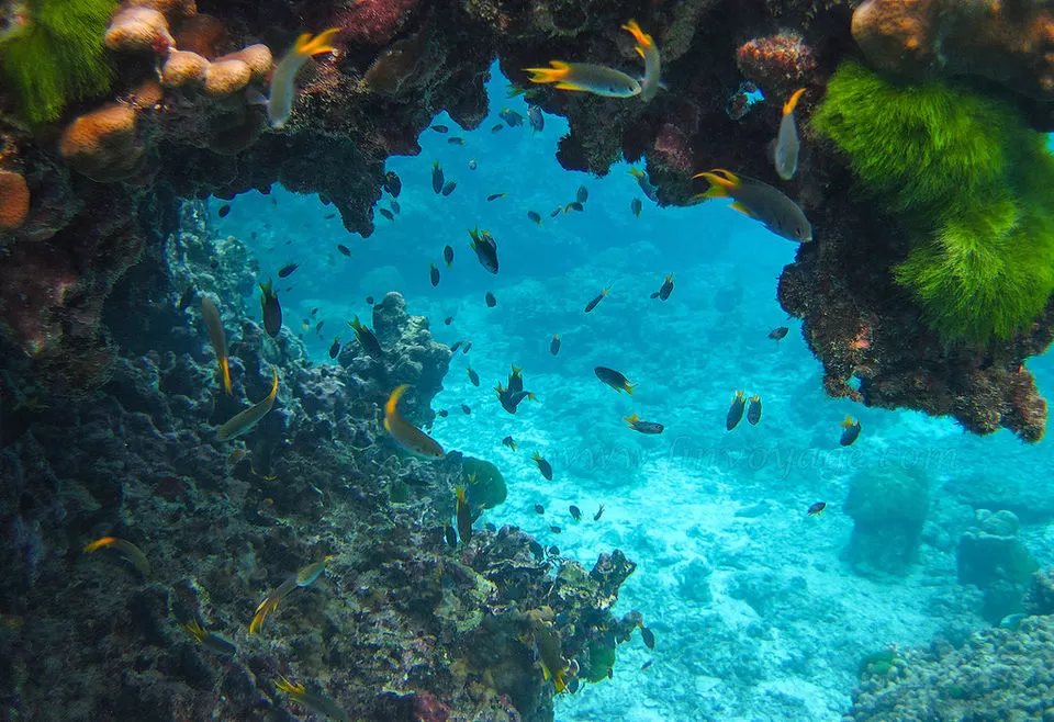 Photo of Lalaji Bay by Himani Khatreja