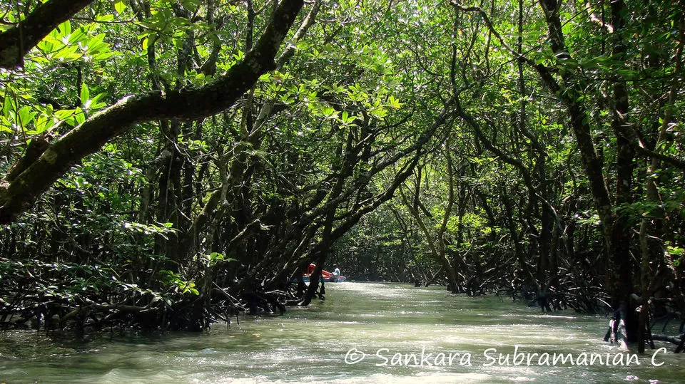 Photo of Long Island: A Secret Island In The Andamans! Hope You Will Treat It With Respect by Himani Khatreja