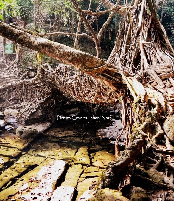 Photo of Shillong, Meghalaya, India by Ishani Nath
