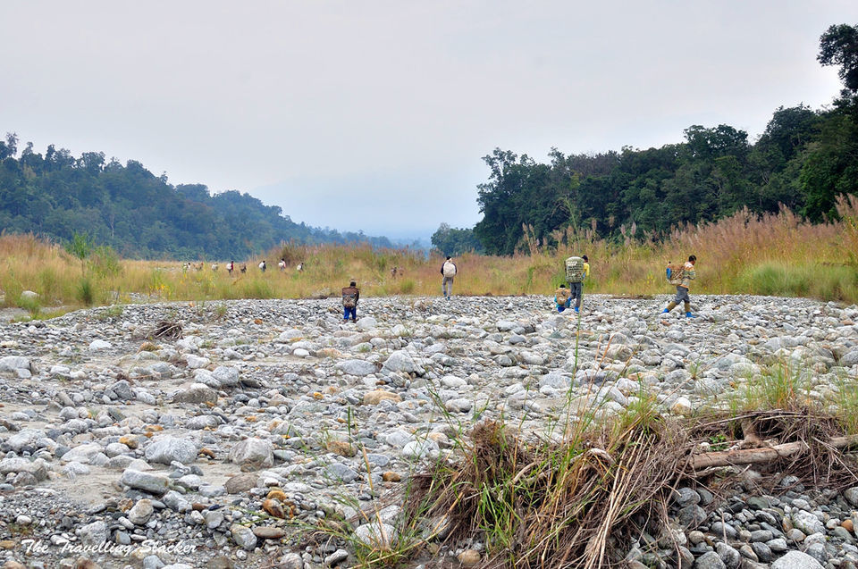 Photo of Namdapha National Park: A Trek Through An Indian Rainforest Across Bamboo Bridges And Rivers by Himani Khatreja
