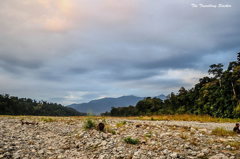 Photo of Namdapha National Park: A Trek Through An Indian Rainforest Across Bamboo Bridges And Rivers by Himani Khatreja
