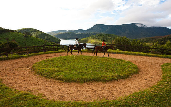 Photo of The Pet-Friendly 'Destiny Farmstay Ooty' is Straight Out Of The Lord of The Rings by Ishvani Hans