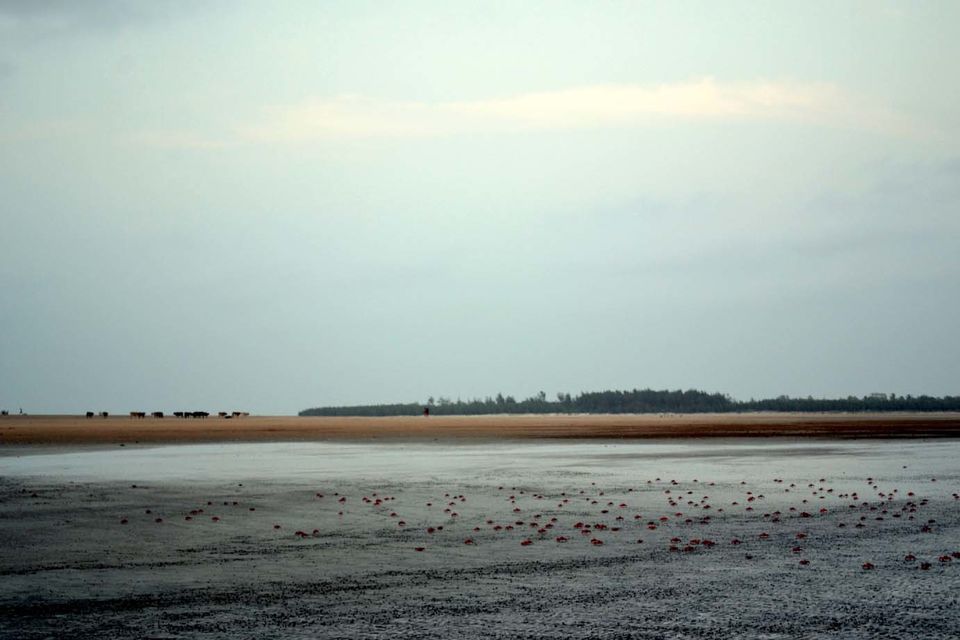 Photo of Four Hours From Kolkata, This Virgin Beach Is Where You Should Usher In 2018 by Amrita