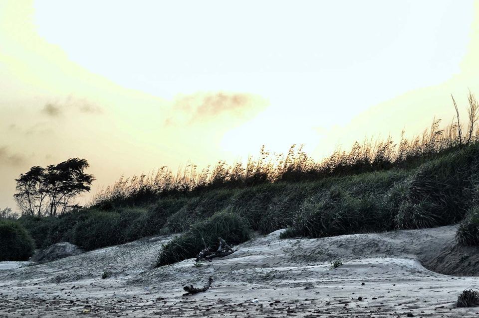 Photo of Four Hours From Kolkata, This Virgin Beach Is Where You Should Usher In 2018 by Amrita