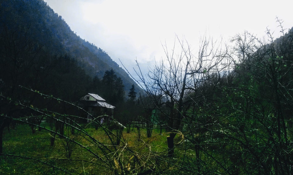 Photo of Himachal’s Low-Key, Psychedelic Capital, Known To Only Those Who Treaded Off The Beaten Track by Vidisha Pandey
