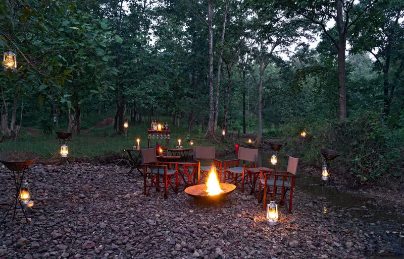 Photo of Reni Pani Jungle Lodge: The Perfect Wildlife Stay In The Middle Of A Jungle by Himani Khatreja