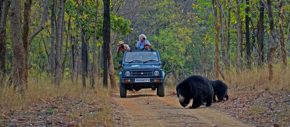 Photo of Deep In The Middle Of A Jungle Is A Wildlife Lodge, And Here's Why It's The Perfect Getaway by Himani Khatreja