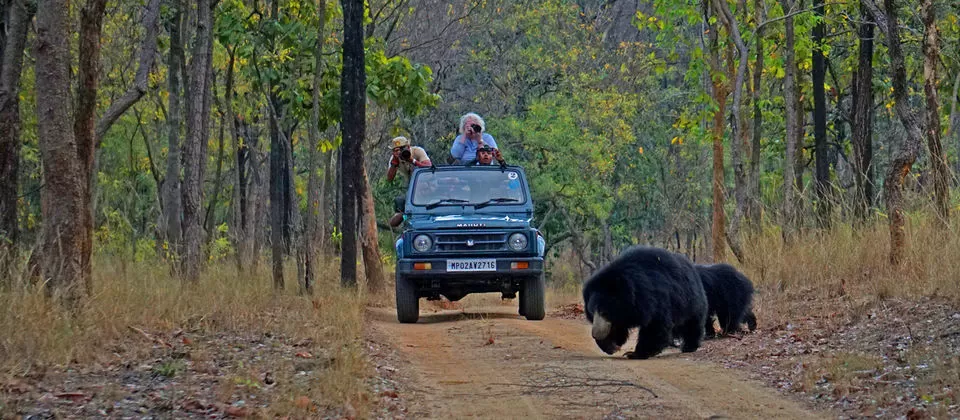 Photo of Reni Pani Jungle Lodge: The Perfect Wildlife Stay In The Middle Of A Jungle by Himani Khatreja