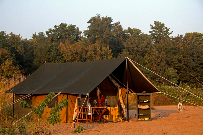 Photo of Reni Pani Jungle Lodge: The Perfect Wildlife Stay In The Middle Of A Jungle by Himani Khatreja
