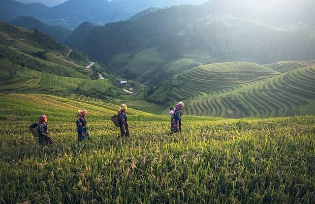 Photo of Make 2018 Your Year Of Travel With These Affordable Packages To Popular International Destinations by Himani Khatreja