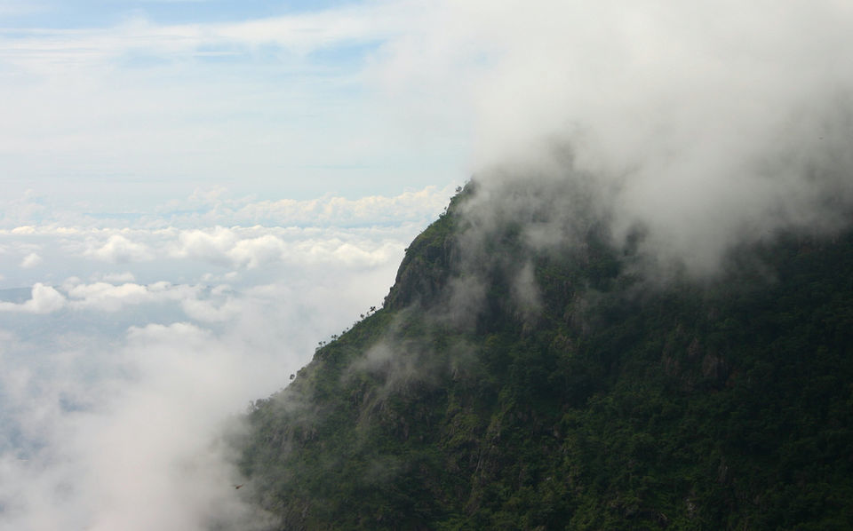 Photo of This Stunning Road Trip From Bangalore To The Misty Nilgiris Is Perfect For The Long Weekend by Himani Khatreja