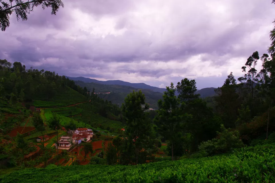 Photo of This Stunning Road Trip From Bangalore To The Misty Nilgiris Is Perfect For The Long Weekend by Himani Khatreja