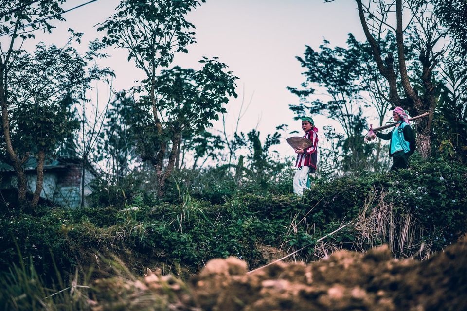 Photo of An 11 Day Road Trip Itinerary For Northern Vietnam by Kamya Buch