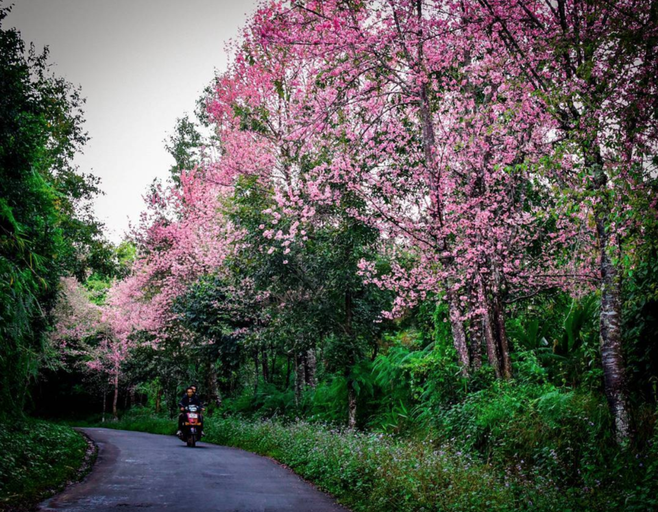 Photo of This Quirky Little Town In Nagaland Is Perfect For Your Next Romantic Trip by Adete Dahiya