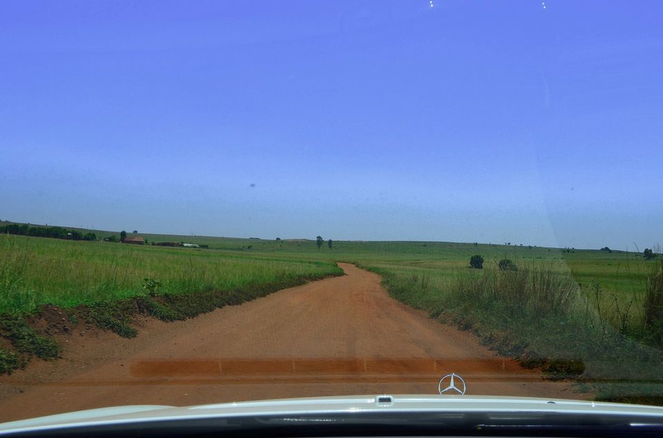 Photo of Wildlife In South Africa: This Reserve Is Home To Animals You've Grown Up Reading About by Rohan Sood