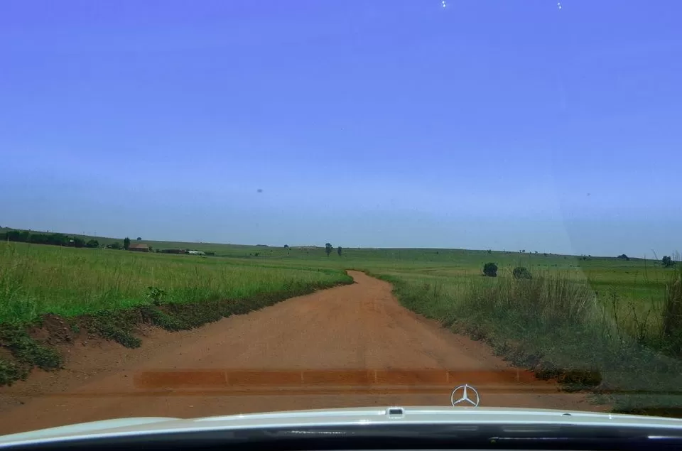 Photo of Wildlife In South Africa: This Reserve Is Home To Animals You've Grown Up Reading About by Rohan Sood