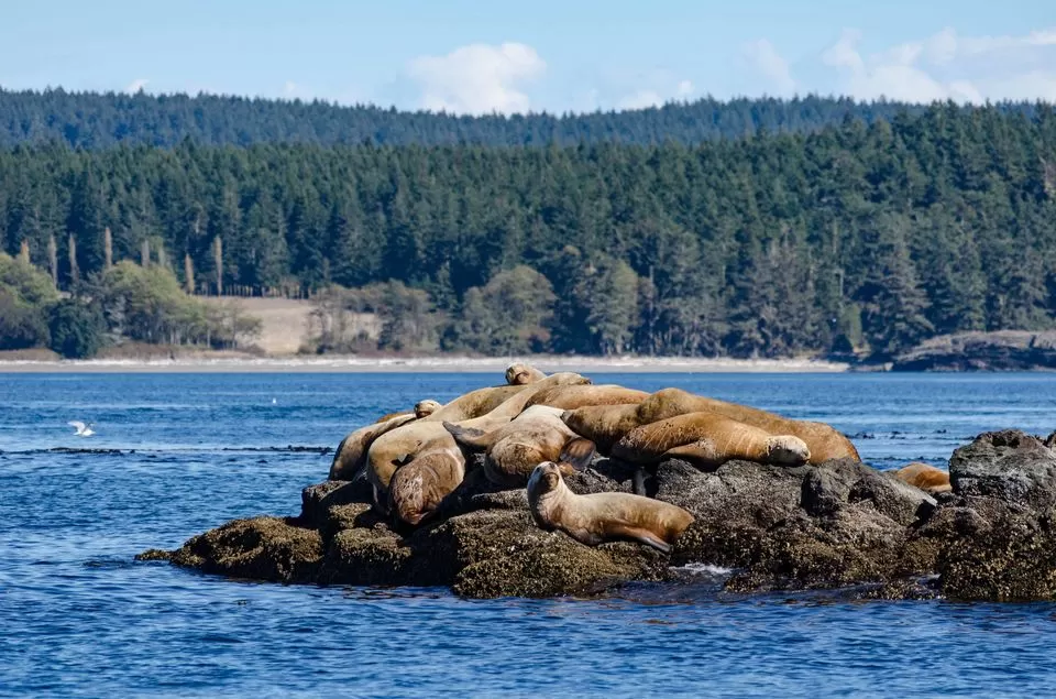 Photo of These Romantic Islands For Outdoorsy Couples are America's Best Kept Secret by Rohan Sood