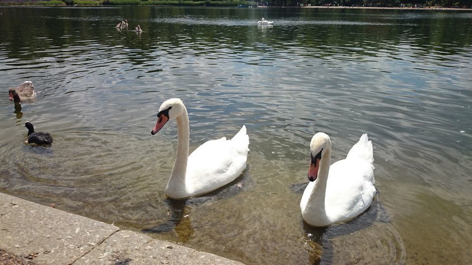 Photo of Experience UK Like A Local With This Conducive Two-Week Itinerary by Kirti Panchal