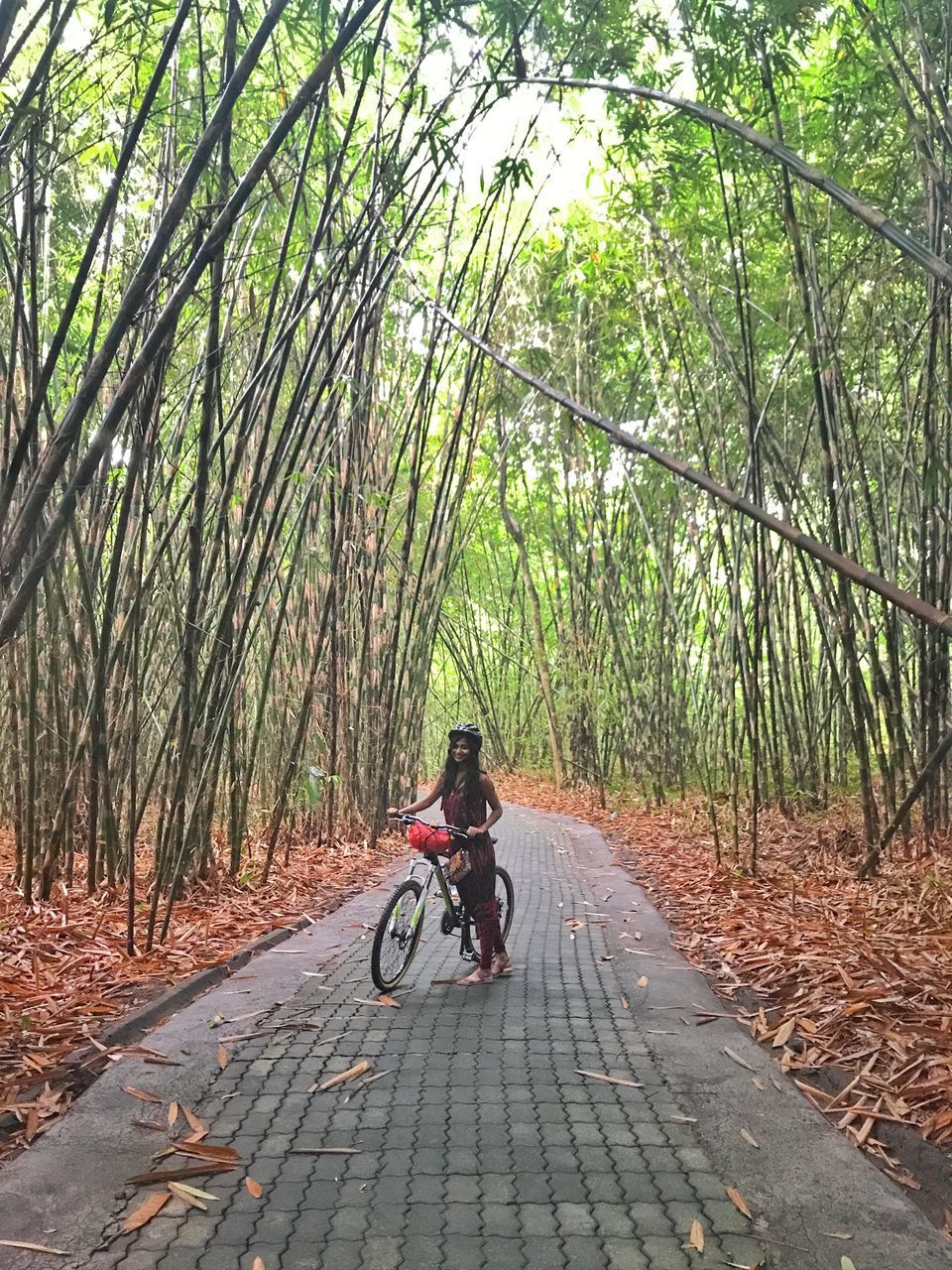 Photo of BAMBOO FOREST, Tiga, Bangli Regency, Bali, Indonesia by Sharanya Iyer